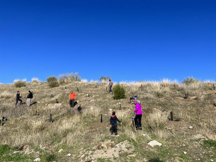 Empleados de Caja Rural Granada y sus familias inician la plantación del bosque de la fundación de la entidad