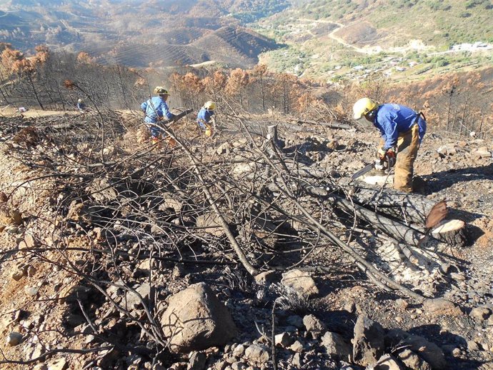 Archivo - Trabajos en las zonas afectadas por el incendio de la Costa del Sol