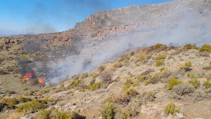 Incendio forestal en el paraje Coto del Molino de Güéjar Sierra
