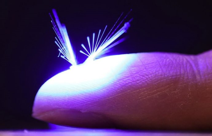 Para su hada artificial, Hao Zeng y Jianfeng Yang se inspiraron en las semillas de diente de león.