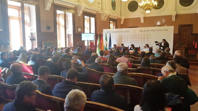 Consejo de Alcaldes y Alcaldesas