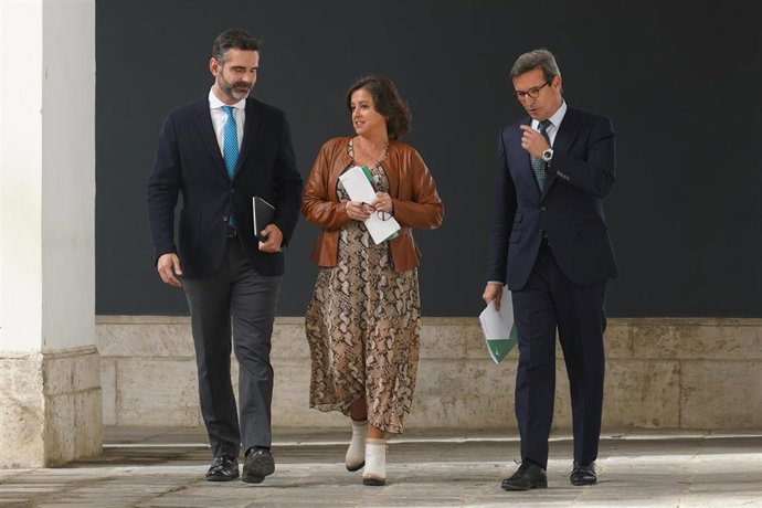 El consejero de Sostenibilidad, Medio Ambiente y Economía Azul y portavoz del Gobierno, Ramón Fernández-Pacheco (i), junto a la consejera de Salud y Consumo, Catalina García; y el consejero de Política Industrial y Energía, Jorge Paradela (d)