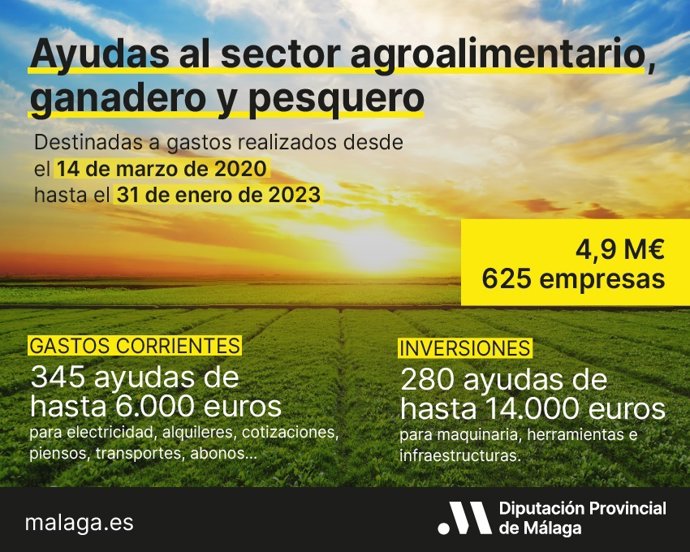 Datos de las ayudas concedidas por la institución supramunicipal.