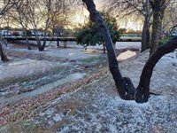 Temperaturas diurnas irán subiendo en Baleares pero la ausencia de viento seguirá dejando heladas nocturnas