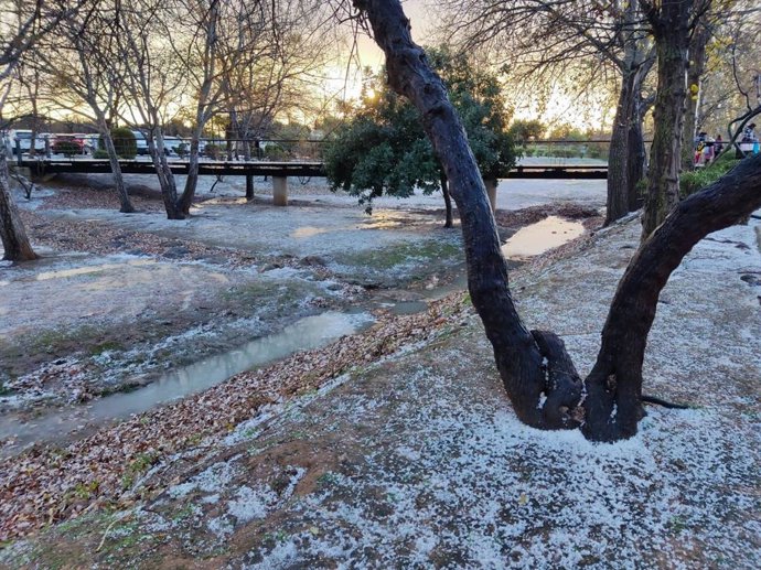 Heladas en el Parc Bit por las bajas temperaturas.