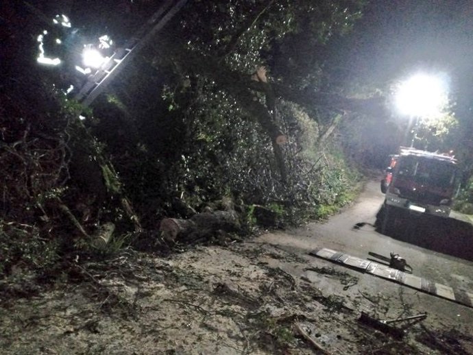 Los bomberos retiran dos árboles caídos sobre la vía, cableado y una terraza en Lloreda