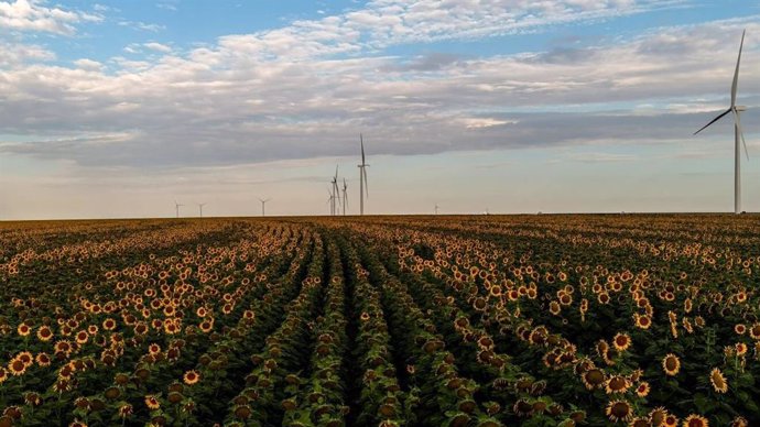 Proyectos de energía renovable