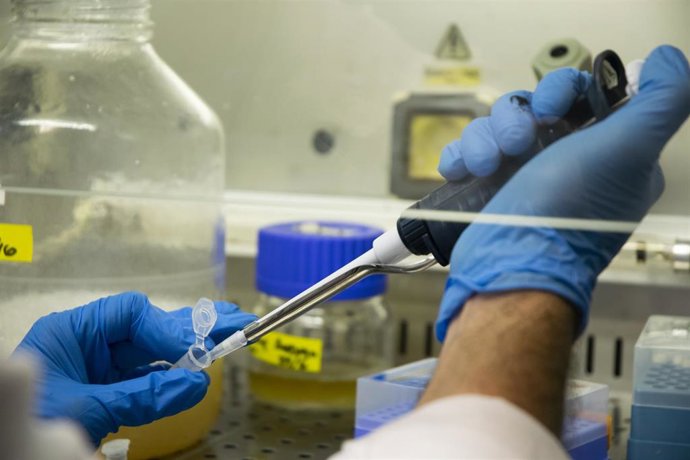 Archivo - Cuatro científicos del CSIC reciben ayudas de la Unión Europea para fortalecer sus equipos de investigación