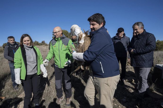 El presidente del Gobierno regional, Fernando López Miras, durante la liberación de dos buitres leonados en la sierra de Mojantes de Caravaca de la Cruz