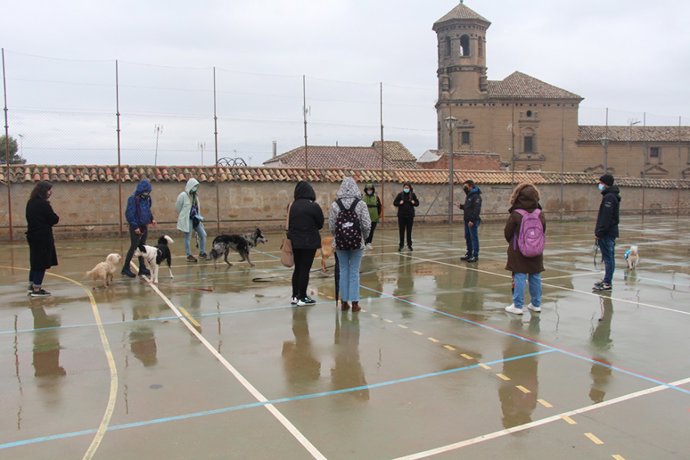 Actividad con perros en una edición anterior del curso.