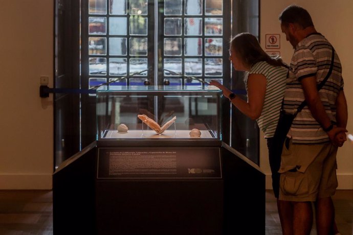 Archivo - Una persona observa el manuscrito de Lope de Vega el 'Códice Daza' en la Biblioteca Nacional de España (BNE), a 18 de agosto de 2022, en Madrid, (España). El Códice Daza es un cartapacio misceláneo de 532 páginas, encuadernado en pergamino, 
