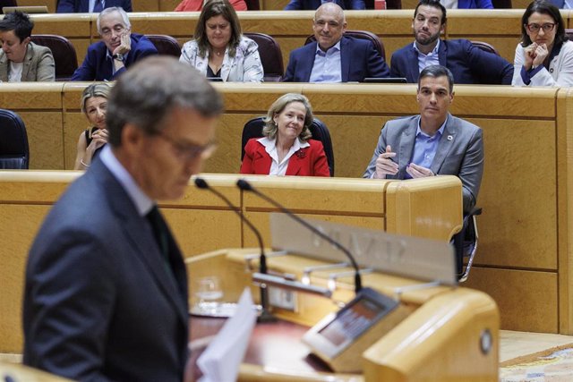 El presidente del Gobierno, Pedro Sánchez, comparece durante el pleno del Senado