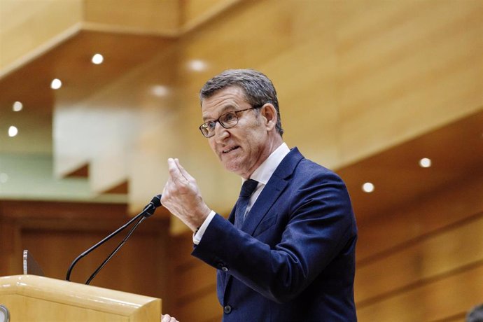 El líder del PP, Alberto Núñez Feijóo, comparece en un pleno del Senado, a 31 de enero de 2023, en Madrid (España). 