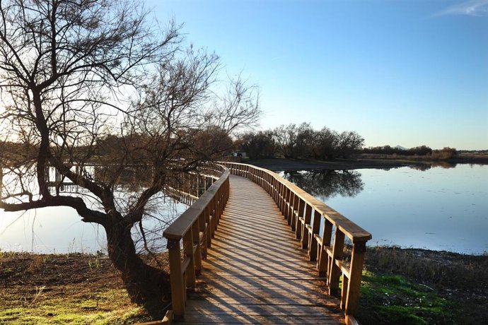 Las Tablas de Daimiel (Ciudad Real) recuperan parte de su paisaje