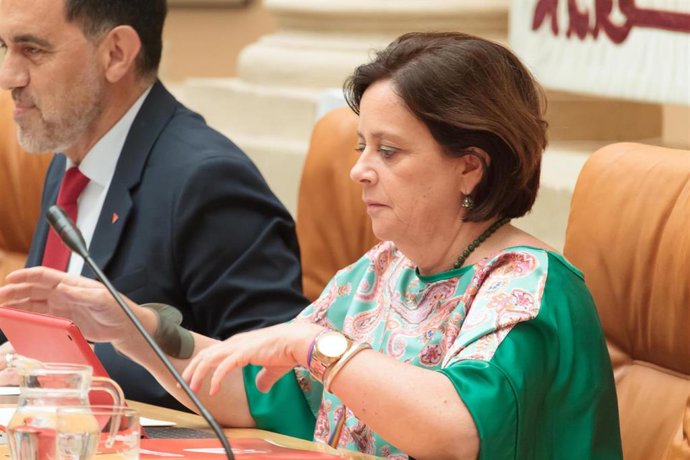 Archivo - La diputada de Izquierda Unida (IU), Henar Moreno