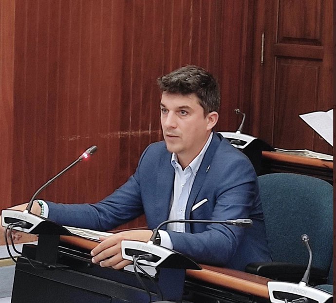 Archivo - El portavoz del Grupo Socialista y candidato del PSOE a la Alcaldía, Daniel Fernández