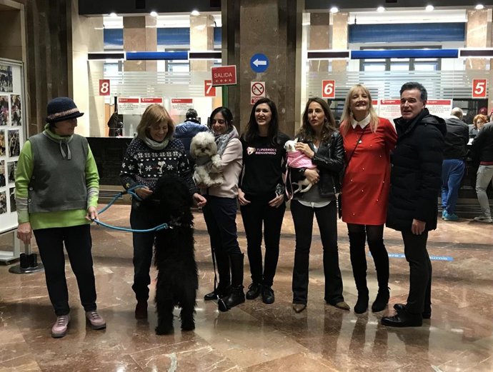 El Ayuntamiento De Zaragoza, Primera Institución, En Permitir El Acceso De Animales Domésticos A Sus Dependencias