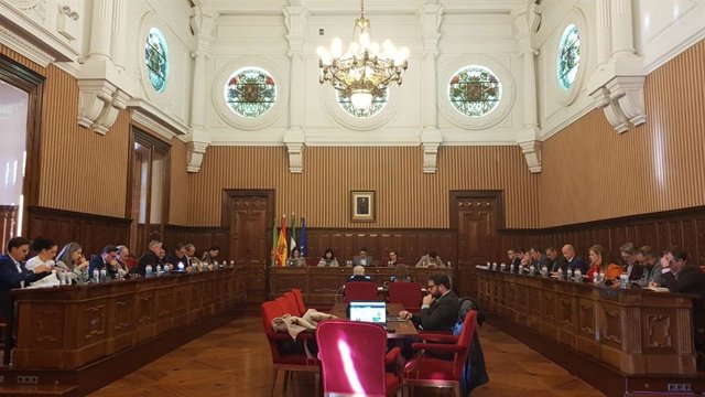 Pleno ordinario de la Diputación.