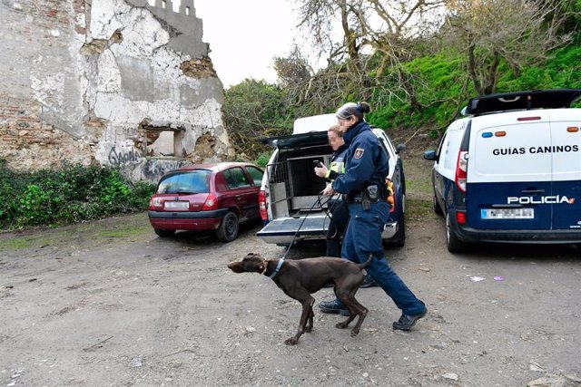 Un perro de la Unidad Canina de Rescate participa en la búsqueda de la desaparición del joven de 17 años, Mohamed Ali, a 1 de febrero de 2023, en Ceuta (España). 