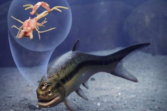 Interpretación artística de un extraordinario pez de 319 millones de años que conserva el primer cerebro fosilizado de un animal vertebrado.