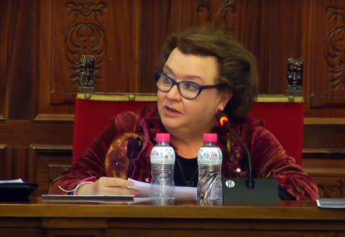 La portavoz del PSOE en Diputación, Pilar Parra