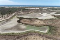 Doñana (Huelva) cerró 2022 con "récord" de temperatura máxima, mínimas de precipitaciones y escasez de aves invernantes