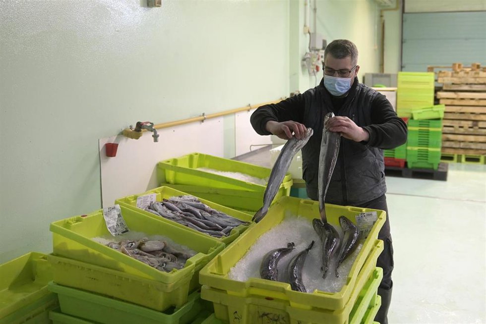 Archivo - Un trabajador maneja pescado en cajas de plástico.
