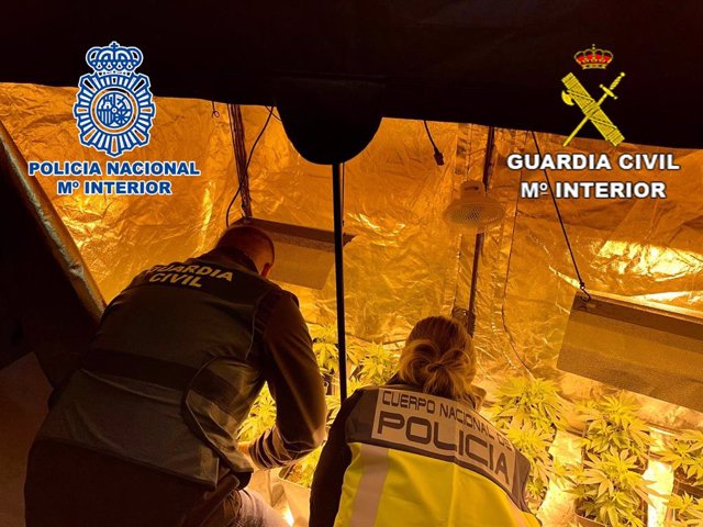 Nota De Prensa: "La Policía Nacional Y La Guardia Civil Desmantelan Un Grupo Criminal Dedicado Al Tráfico De Drogas En Alcoy"