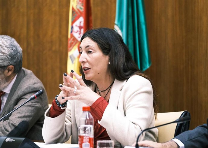 La consejera de Inclusión Social, Juventud, Familias e Igualdad, Loles López, en comisión parlamentaria