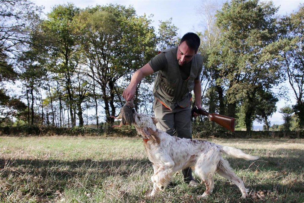 Archivo - Un cazador perteneciente al Coto de Cela, recoge una perdiz con su perro de caza en el Tecor Santa Isabel, a 16 de octubre de 2022, en Vilela, Outeiro de Rei, Lugo, Galicia, (España). El período hábil general para poder ejercer la actividad ci