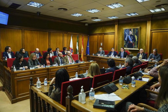 Pleno de la Diputación de Almería.