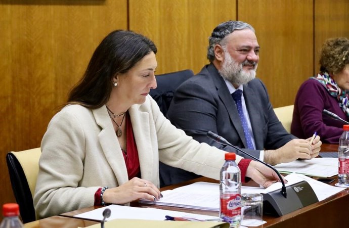 La consejera de Inclusión Social, Juventud, Familias e Igualdad, Loles López, en el Parlamento