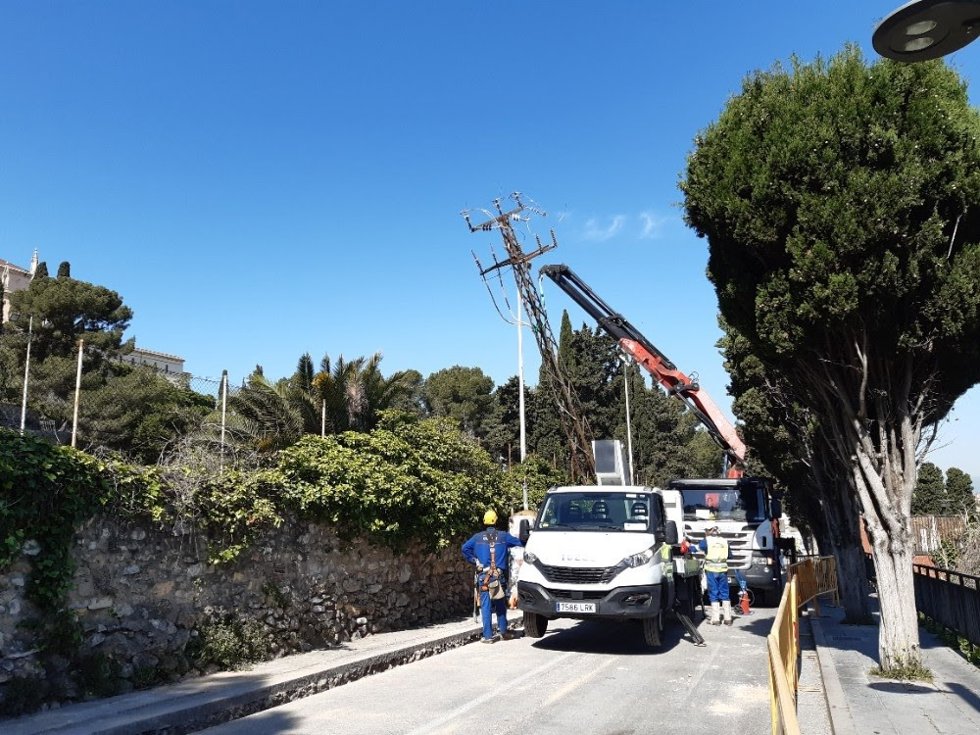 Un operario de Endesa realiza trabajos