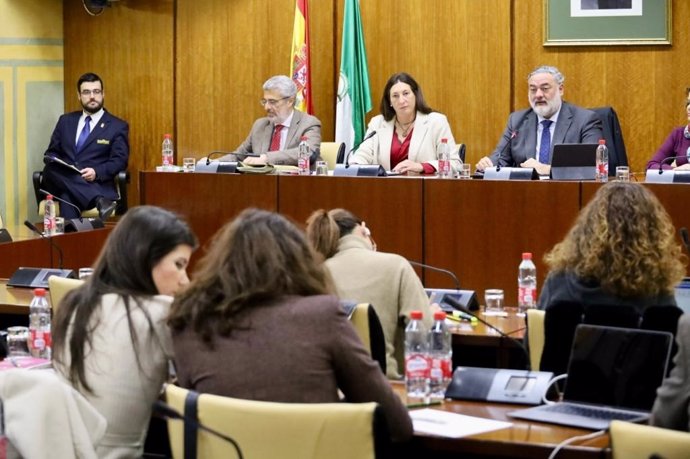 La consejera de Inclusión Social, Juventud, Familias e Igualdad, Loles López, en comisión parlamentaria
