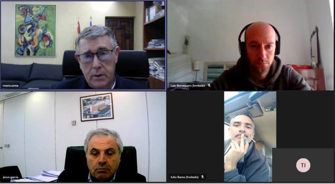 Captura de pantalla de la videoconferencia