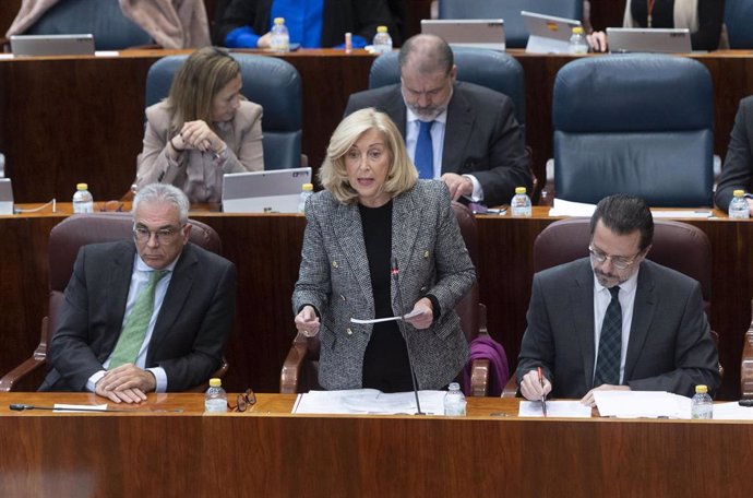 La consejera de Familia, Juventud y Política Social, Maria Concepción Dancausa Treviño, interviene durante un pleno en la Asamblea de Madrid, a 2 de febrero de 2023, en Madrid (España). 