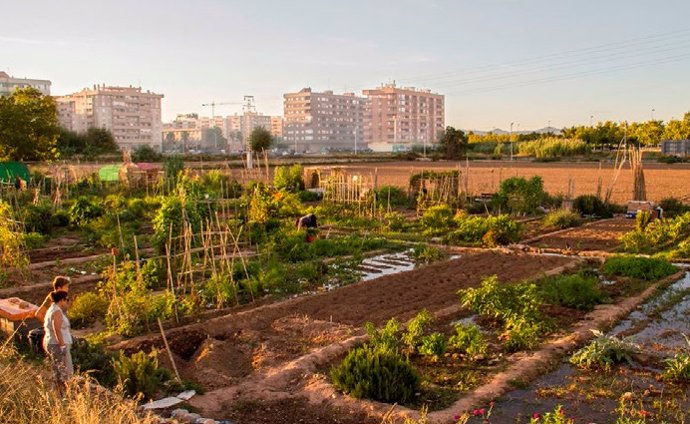 Archivo - Imagen de archivo de huerta y del barrio valenciano de Benimaclet.