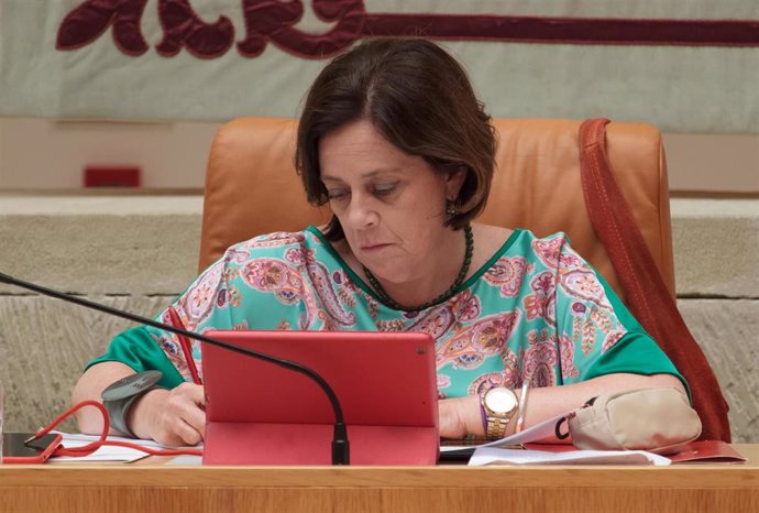 Archivo - IU registró la ley hace un año en el Parlamento