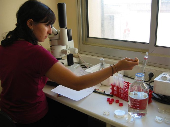 Archivo - Imatge de recurs del laboratori clínic de l'Institut Catal d'Oncologia