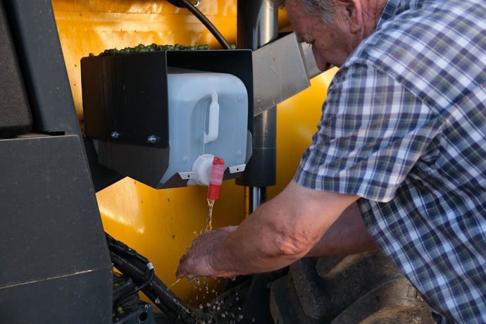 Archivo - Graciano Bordegé del Río, se lava las manos durante la vendimia de la uva Sauvignon Blanc