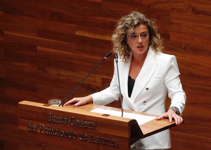 Archivo - La portavoz de Ciudadanos, Susana Fernández