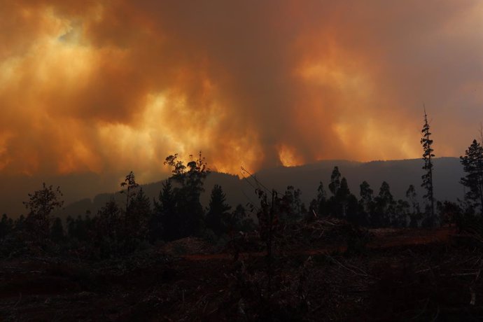 03 February 2023, Chile, Tome: Clouds of smoke rise from the forest in a severe fire. Photo: -/Agencia Uno/dpa