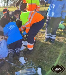 Imagen del incidente.