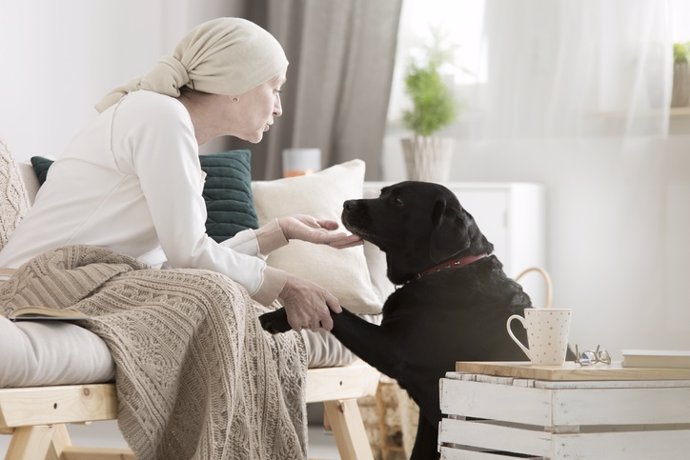 Archivo - Tumor patient caressing her dog