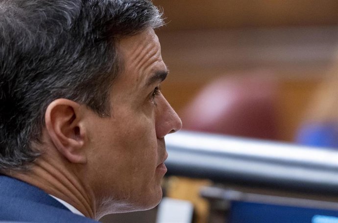 El presidente del Gobierno, Pedro Sánchez, en el Pleno del Congreso de los Diputados.