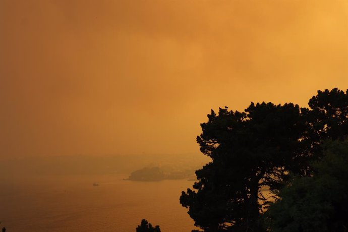 03 February 2023, Chile, Tome: Clouds of smoke drift over forest and sea in severe fires. Photo: -/Agencia Uno/dpa
