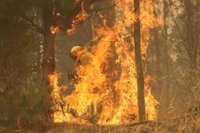 Al menos diez detenidos por los incendios en Chile, que dejan ya 24 fallecidos