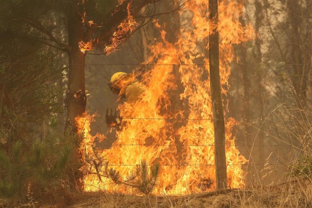 Un bombero trabaja para extinguir un incendio en Nacimiento, Chile