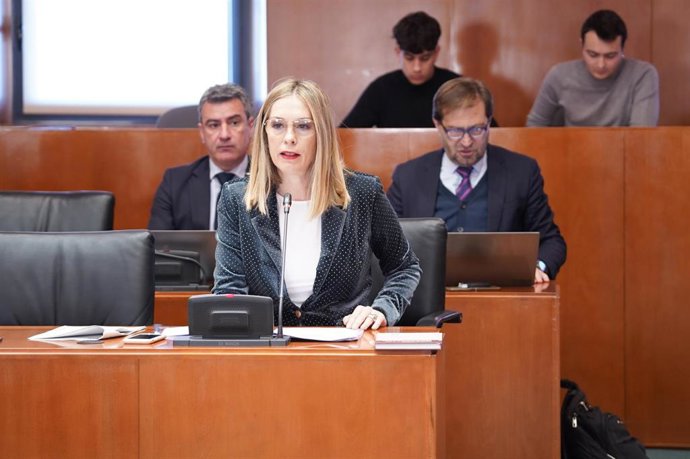 La diputada del PP, Ana Cristina Sainz, durante la Comisión Institucional y Desarrollo Estatutario de las Cortes de Aragón.