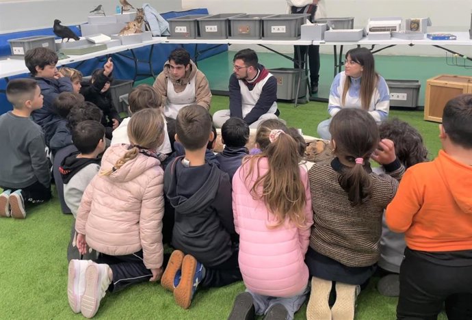 Estudiantes de Primaria participan en una de las actividades del proyecto 'La Musoneta' del Cabildo de Tenerife